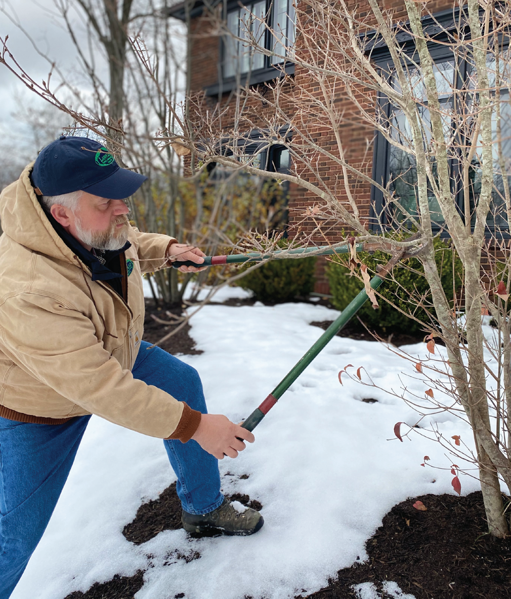 Doug pruning